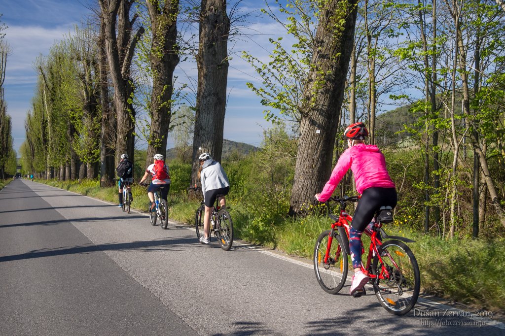 cyklozájazd Toskánsko, 2019 (z Lucca do Marina di Pisa)